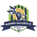 Marumo Gallants marumo gallants official club badge